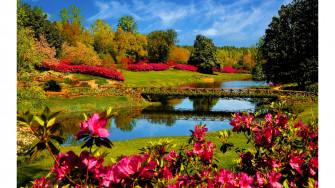 Natural Scenes Spring 4k Wallpaper