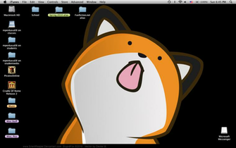 Stupid Fox Wallpaper Photo By Elissar Photobucket