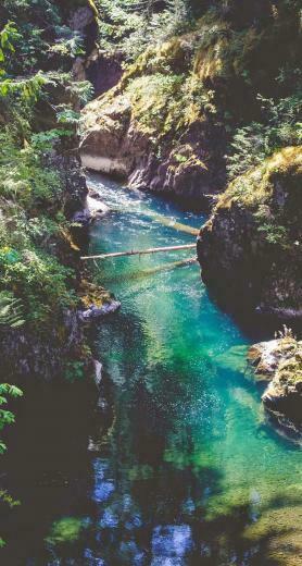 Forest Cliffs River iPhone Plus HD Wallpaper Ipod