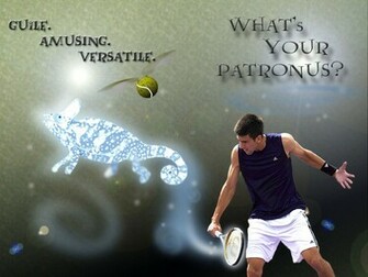 Tennis Players Wallpaper Novak Djokovic
