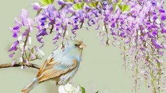 Wisteria Wallpaper High Definition Quality