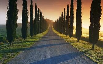 To Wallpaper Just Right Click On Pictures And Select Save