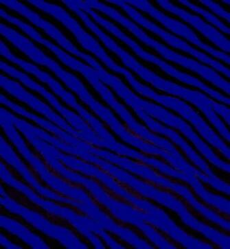 Blue Zebra Graphics Code Comments Pictures