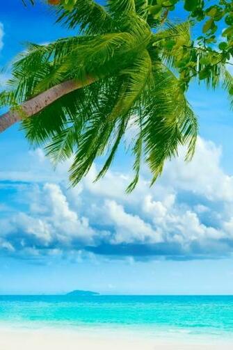 iPhone Summer Wallpaper Collection Reborn