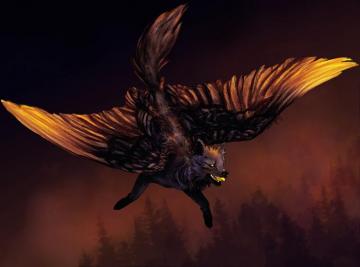 Desktop Wallpaper Wolf Wings Fantasy Flight Magical Animals