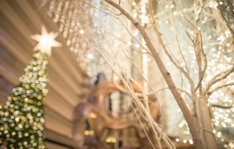 Wallpaper The City Lights Tree Holiday Street Christmas