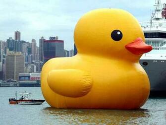 That S One Big Duck Floating In Hong Kong Victoria Harbor This Month