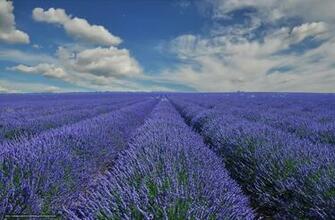 Wallpaper Provence France Desktop