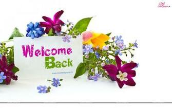 Welcome Back Wallpaper