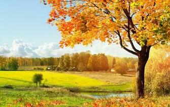 Autumn HD Widescreen Wallpaper