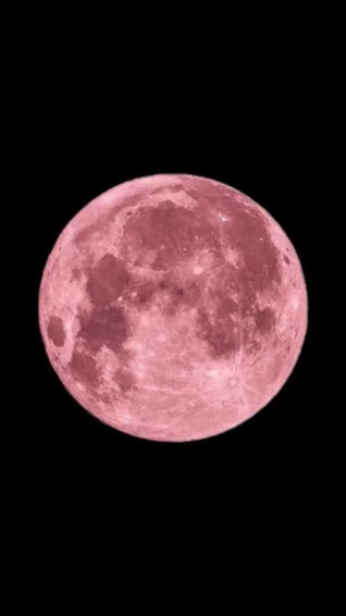 Full Pink Moon Phone Background Wallpaper