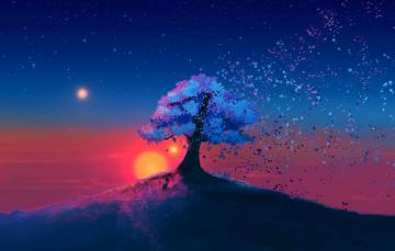 Wallpaper Star Tree Landscape Nature Sunset Art Sun Digital