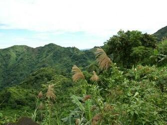 Tropical Mountain Scenery Wallpaper Along Marcos