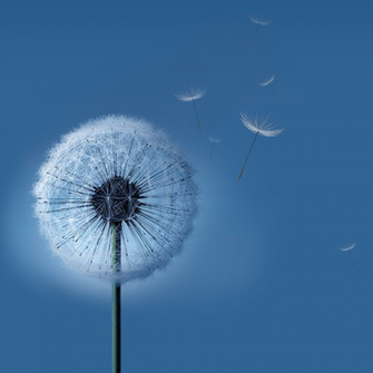Galaxy Note Stock Wallpaper