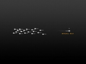 Funny Wallpaper