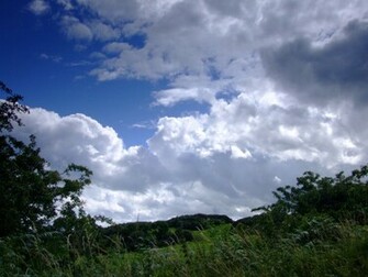 Irish Countryside Wallpaper For