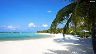 Amazing Tropical Beach Wallpaper