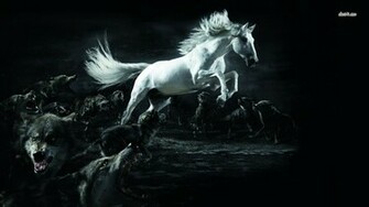 Horse Computer Wallpaper Desktop Background Id