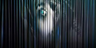 Fear Dark Eyes Suspense Black Photo From Needpix