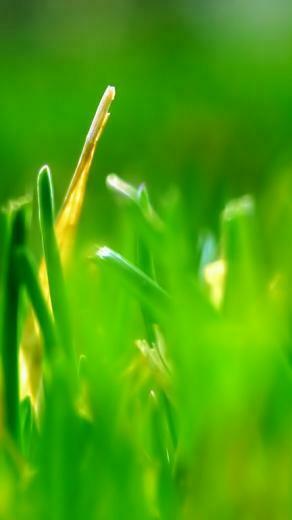 Samsung Galaxy S3 Live Wallpaper Awesome Background