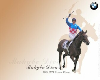 Racing And Sports Leaders In Horse News Statistics
