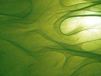 Green Image Sf Wallpaper