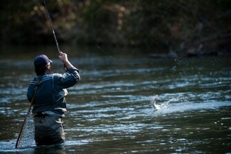 Fly Fishing Wallpaper