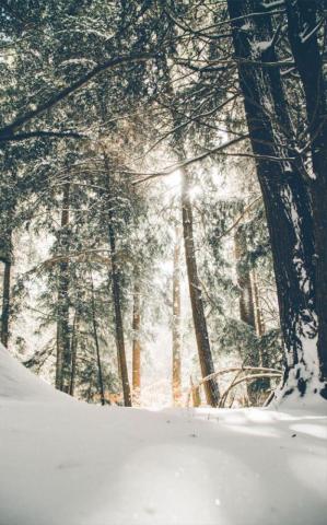 Beautiful Winter Wonderland Idea Wallpaper iPhone