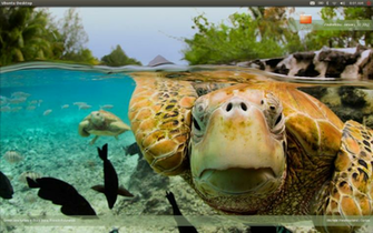 Ideas Science Chit Chat Bing Wallpaper Changer