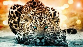 Jaguar Computer Wallpaper Desktop Background Id