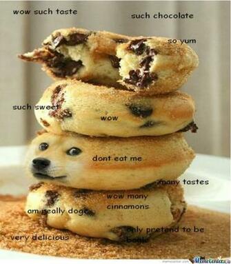 Wow Such Doge By Megusta1110 Meme Center