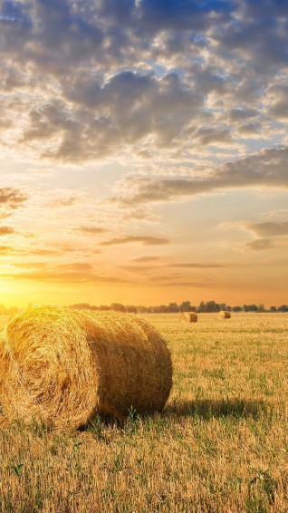 Farm Wallpaper On