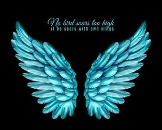 Color Bird Wing Background Vectors Clipart