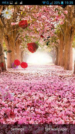 Spring By Pro Live Wallpaper For Android