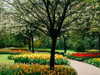 Spring Desktop Wallpaper Amazing Collection Weddingdressin