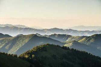 Green Leafed Trees Wasatch Mountains Utah Nature HD