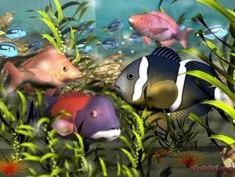 Hunt For Image Fishes