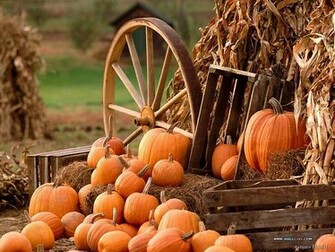 Magic Of The Nature Fall Colors Amazing Autumn Scene Wallpaper