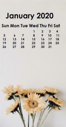 January iPhone Calendar Wallpaper In
