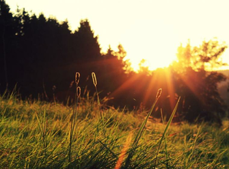 HD Summer Sunset Desktop Wallpaper Pic
