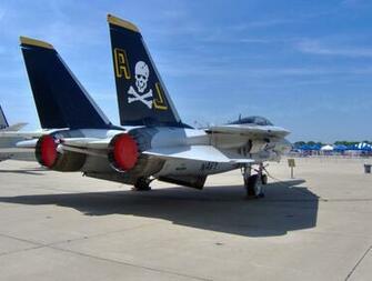Rear Of An F Tomcat By Serrishi
