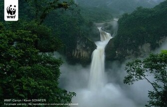 Wwf Canon Photogallery
