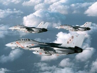Tomcat Prints Buy A Poster