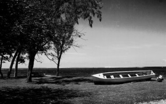 Black And White Nature Wallpaper