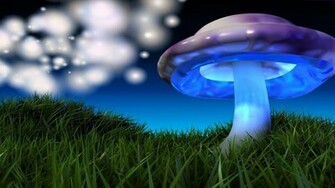 3d Mushroom Wallpaper