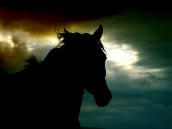 Dark Horse Wallpaper Which Is Under The