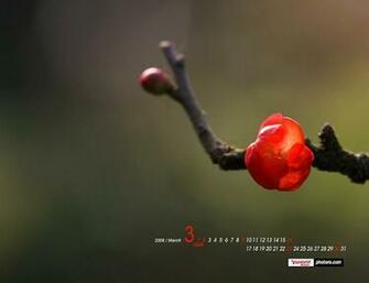 Flowers Wallpaper March Desktop Calendar