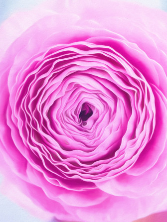 Amazing Flowers Wallpaper For Android