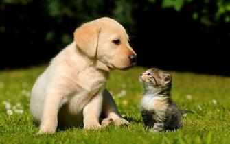Happy Best Friends Day Computer Desktop Wallpaper Pictures