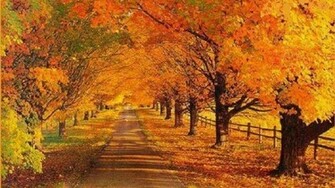 Autumn Road Jpg Wallpaper Other Landscape Copyright Od